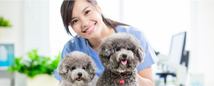 Veterinary Assistant Program  更多信息